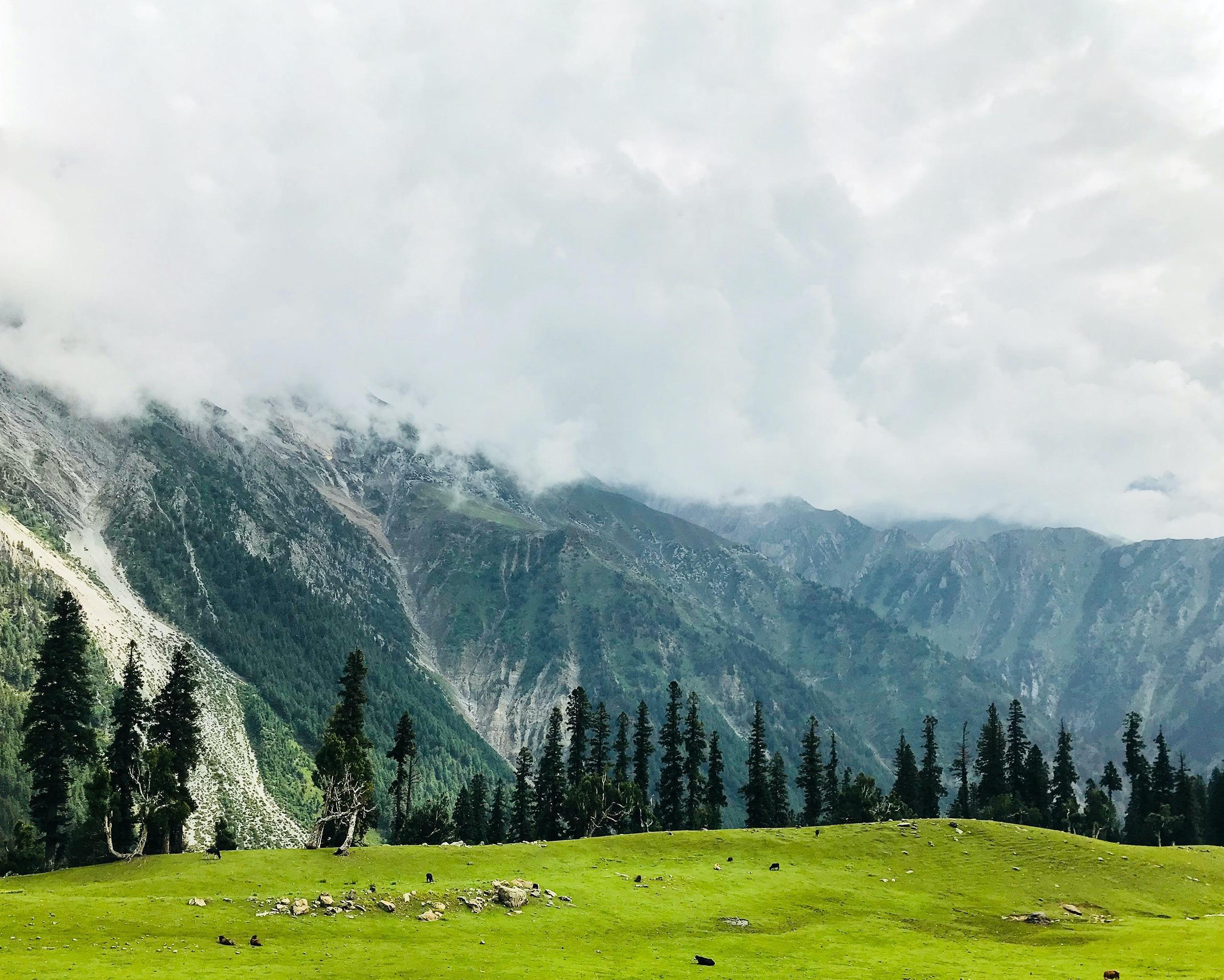 3 Jewels Kashmir Honeymoon Tour