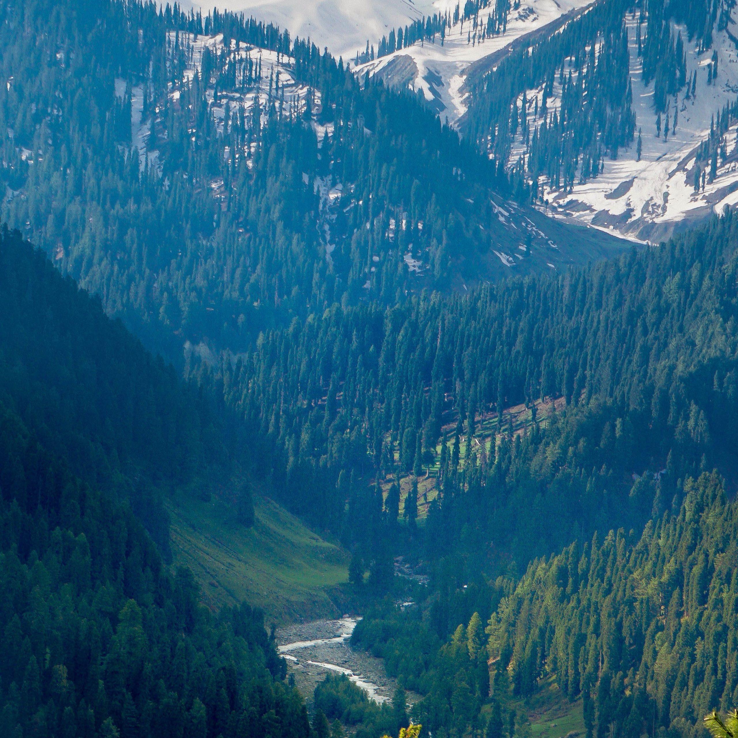 Best of Kashmir Family Package