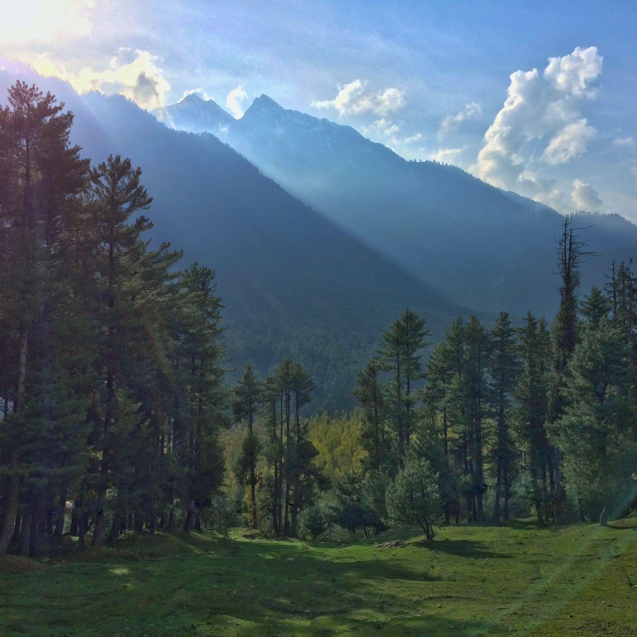 7 Days Kashmir Honeymoon Tour