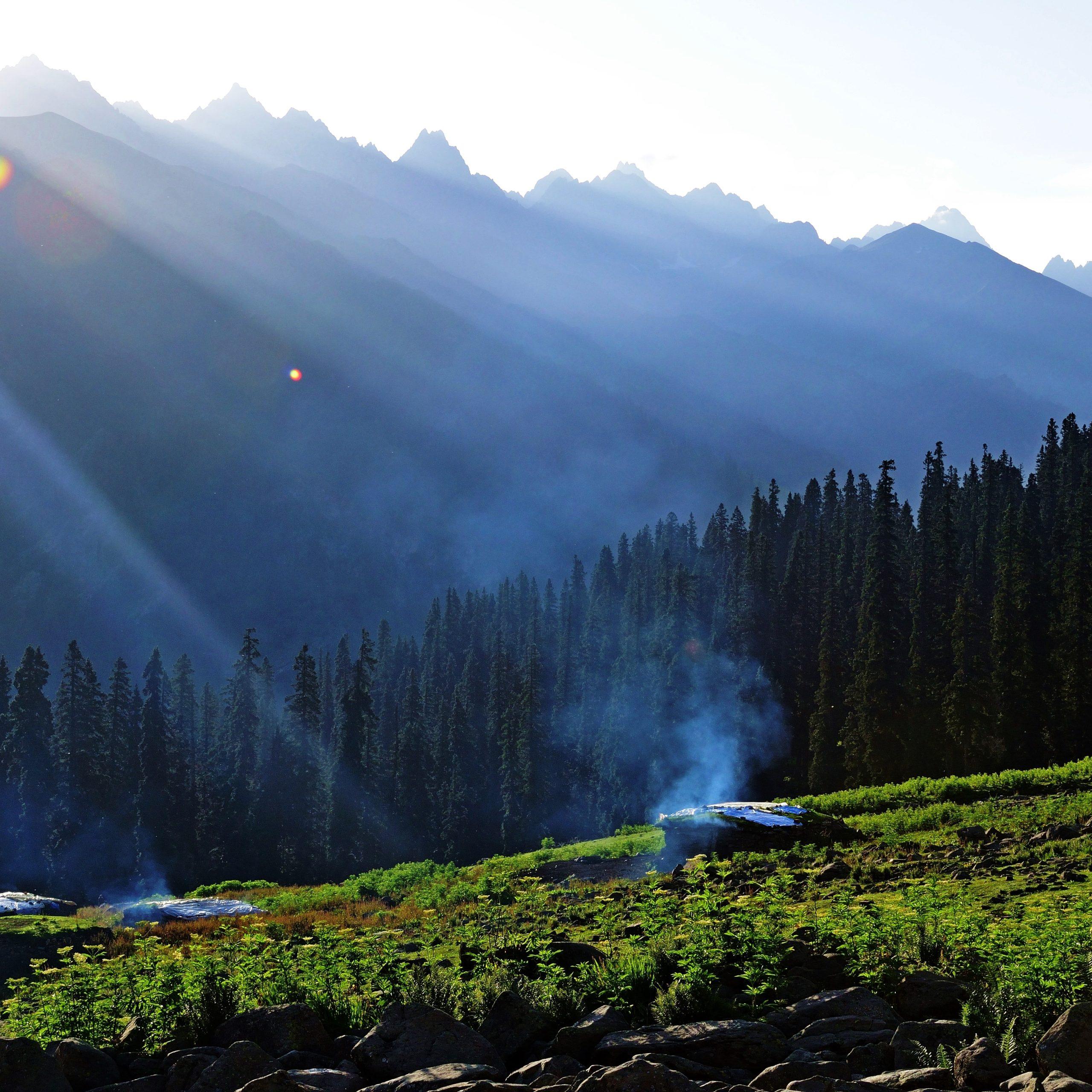 7 Days Kashmir Honeymoon Tour