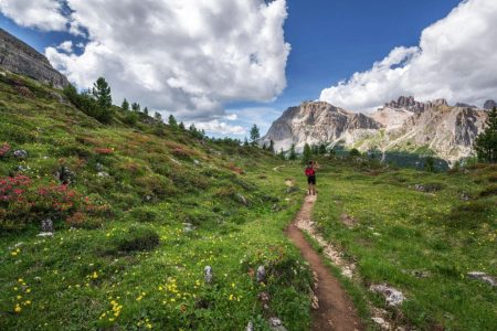 Valley of Flowers Trek with Hemkund Sahib